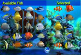 Clownfish Aquarium Live Wallpaper 3