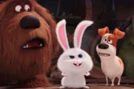 The Secret Life of Pets 2016